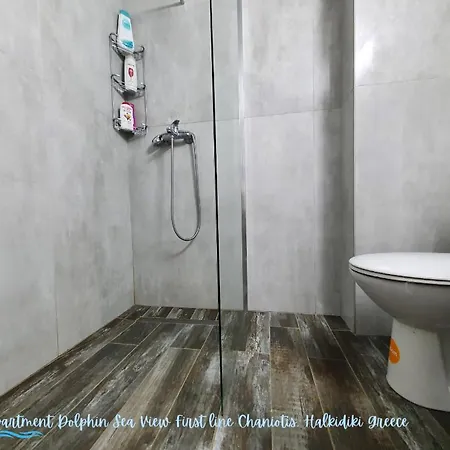 Dolphin Sea View And First Line *