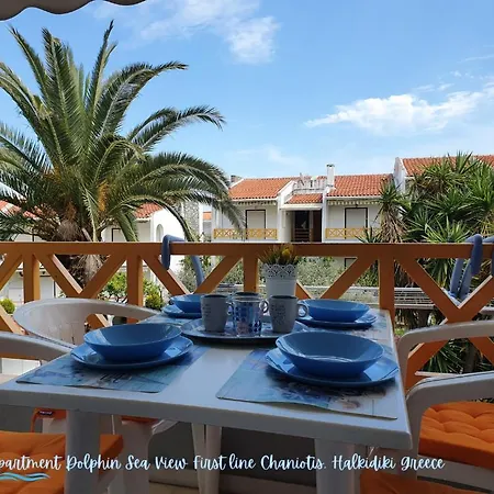 Dolphin Sea View And First Line