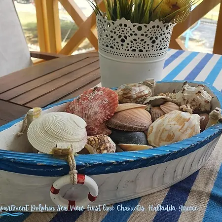 Dolphin Sea View And First Line Χανιώτη