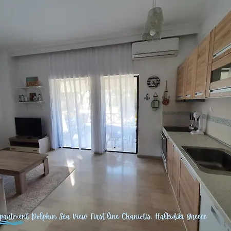 Dolphin Sea View And First Line Apartment Hanioti