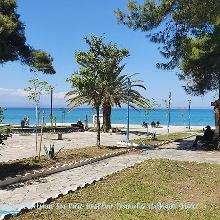 Dolphin Sea View And First Line *