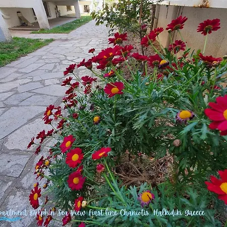 Dolphin Sea View And First Line شقة *