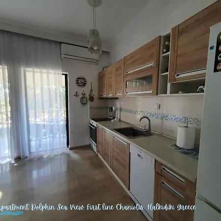 Dolphin Sea View And First Line Apartment Hanioti