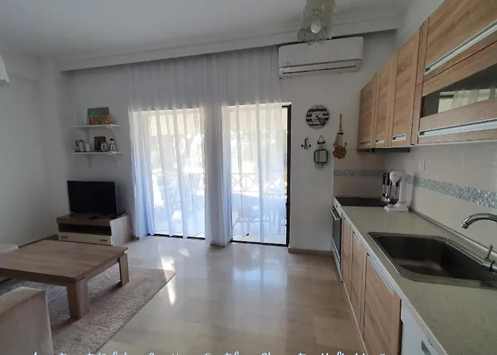 Dolphin Sea View And First Line Appartamento Hanioti