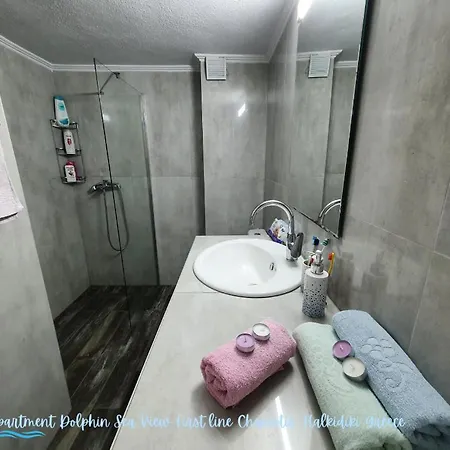 Apartment Dolphin Sea View And First Line Hanioti