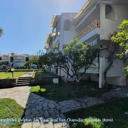 Dolphin Sea View And First Line