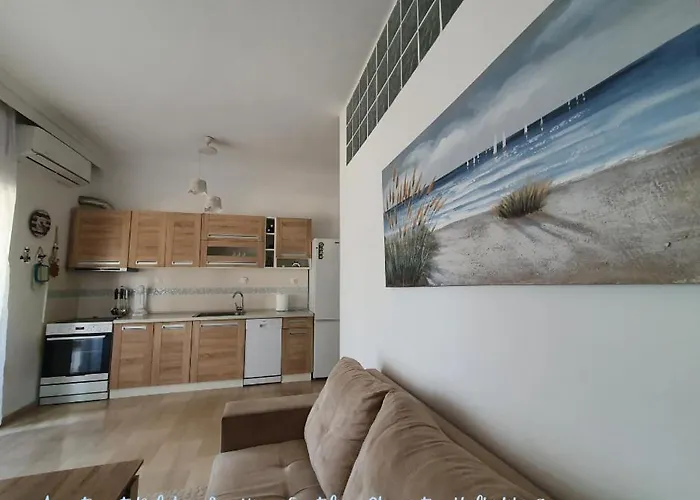 Apartment Dolphin Sea View And First Line *